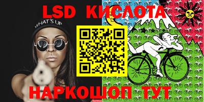 прущие грибы Бийск