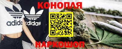 прущие грибы Бийск