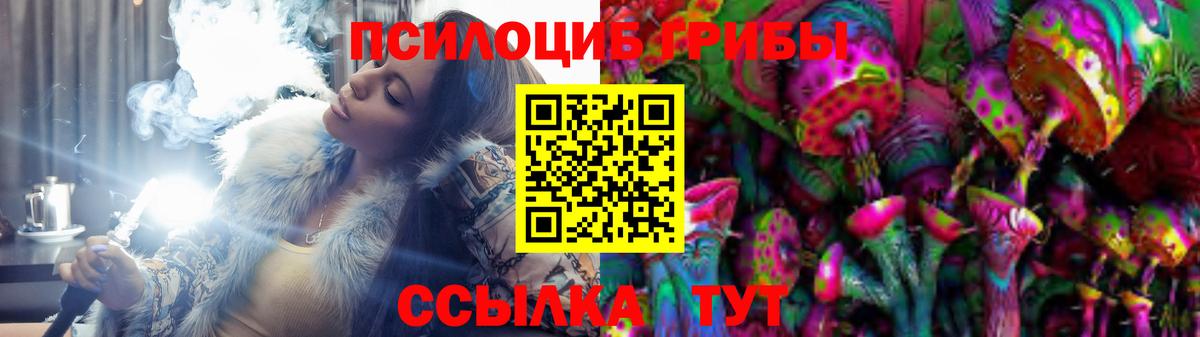 Кашира  Псилоцибиновые грибы мухоморы  Псилоцибиновые грибы MAGIC MUSHROOMS  Вход с VPN 