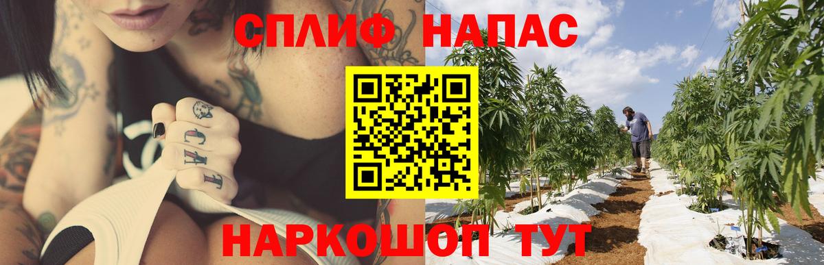 Каннабис SATIVA & INDICA Кашира
